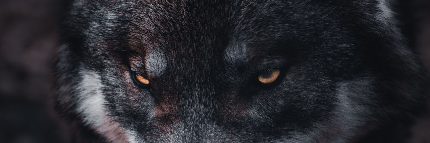 SaturnTechy's profile banner image