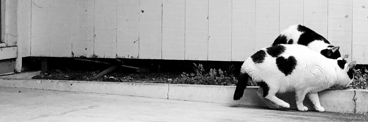 6tones_km's profile banner image