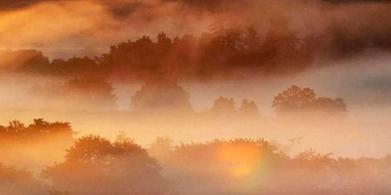 お水さんGO banner