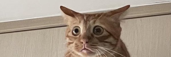 cuckcat Profile Banner