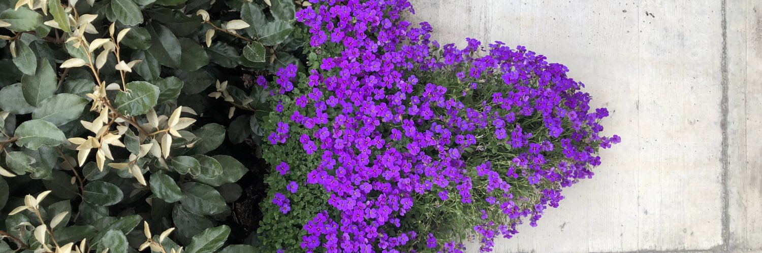 Emmanuel C Benjamin banner