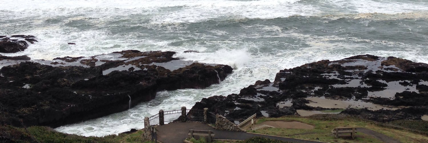 Type II Supernova🦎 banner