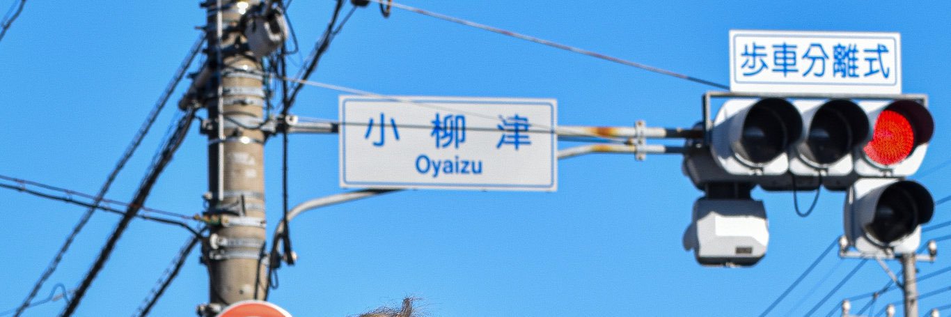 りっきー🍊 banner