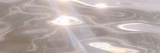 取引 banner