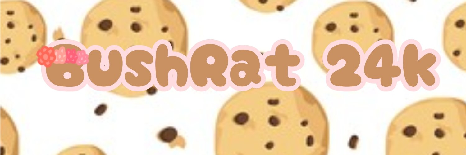 Bushrat25k's profile banner image