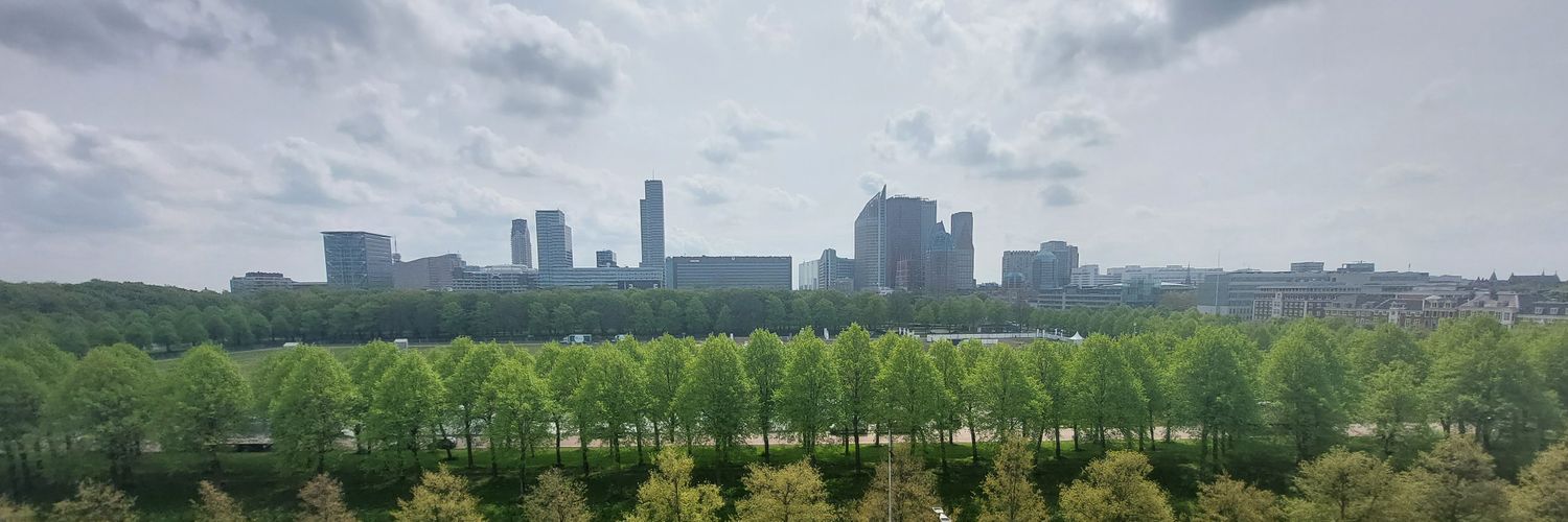 Ward Meijroos banner