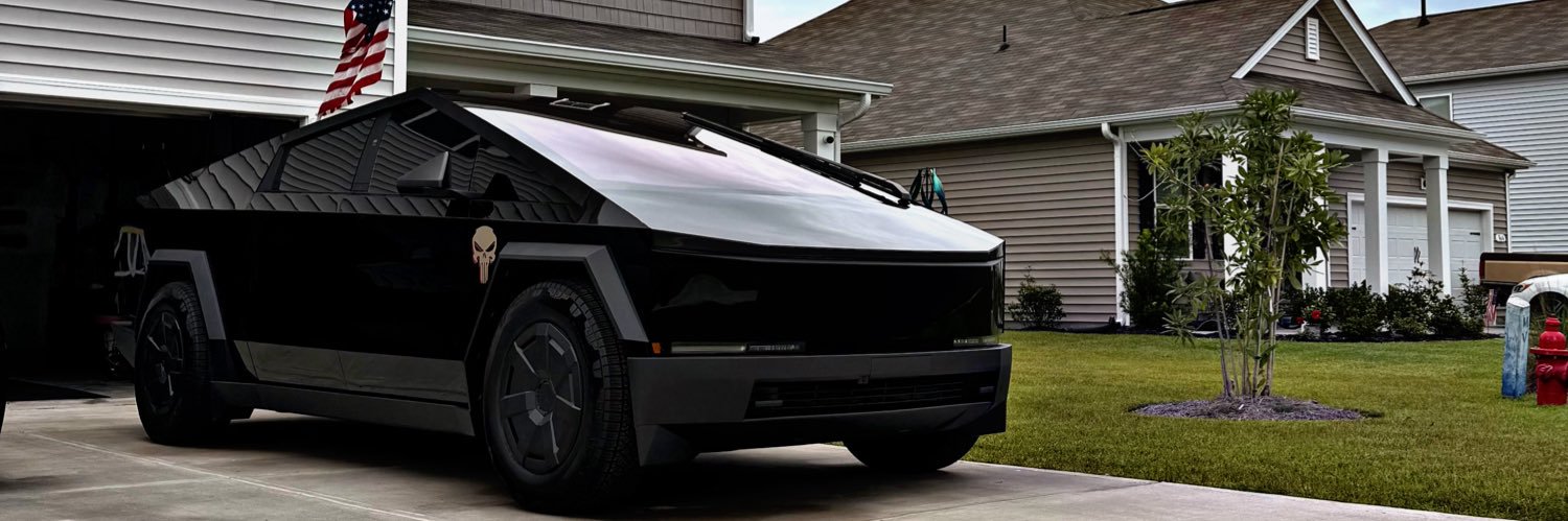 Whip_a_Tesla007 banner