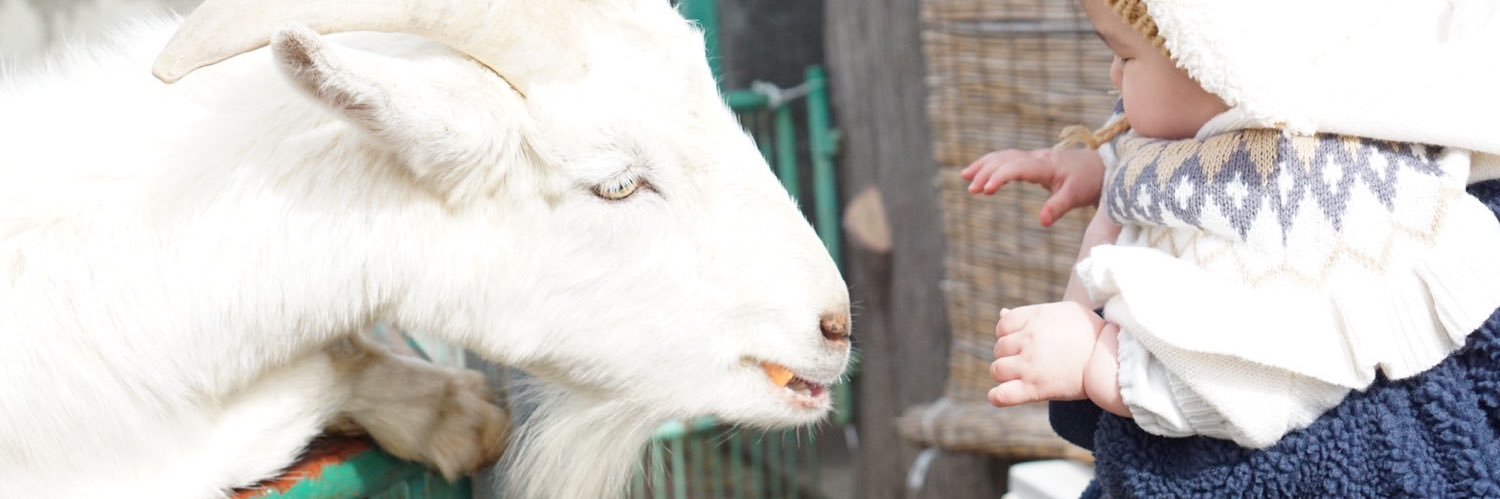AFrooogR's profile banner image