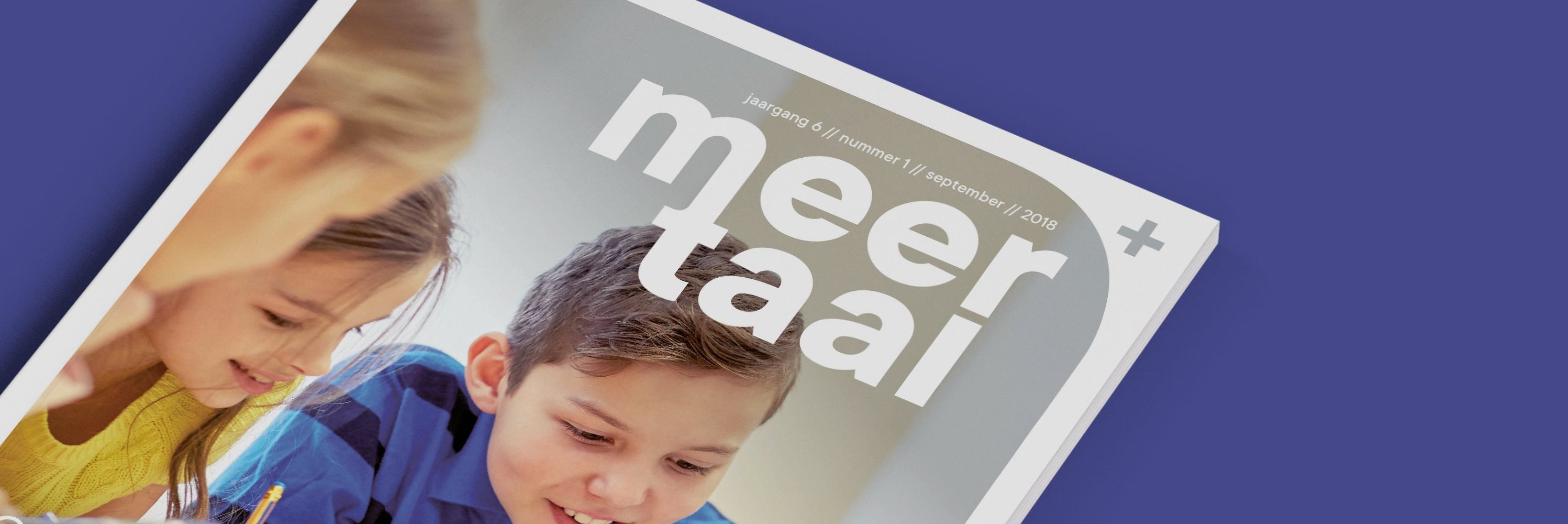 Redactie MeerTaal banner
