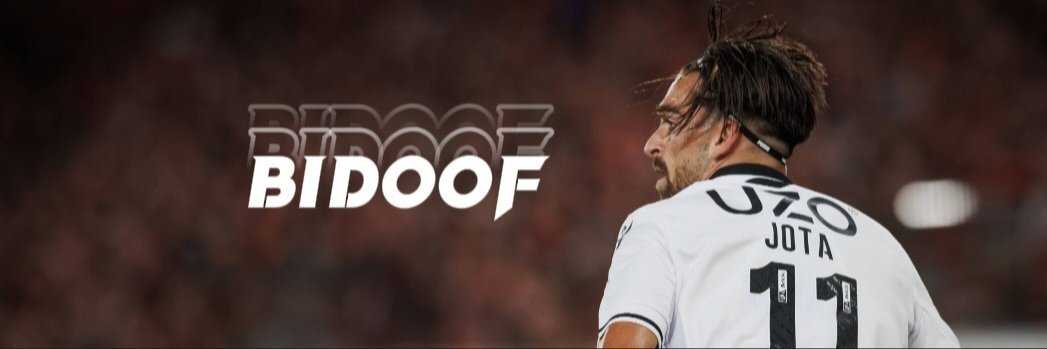 Bidoof🇵🇹 banner