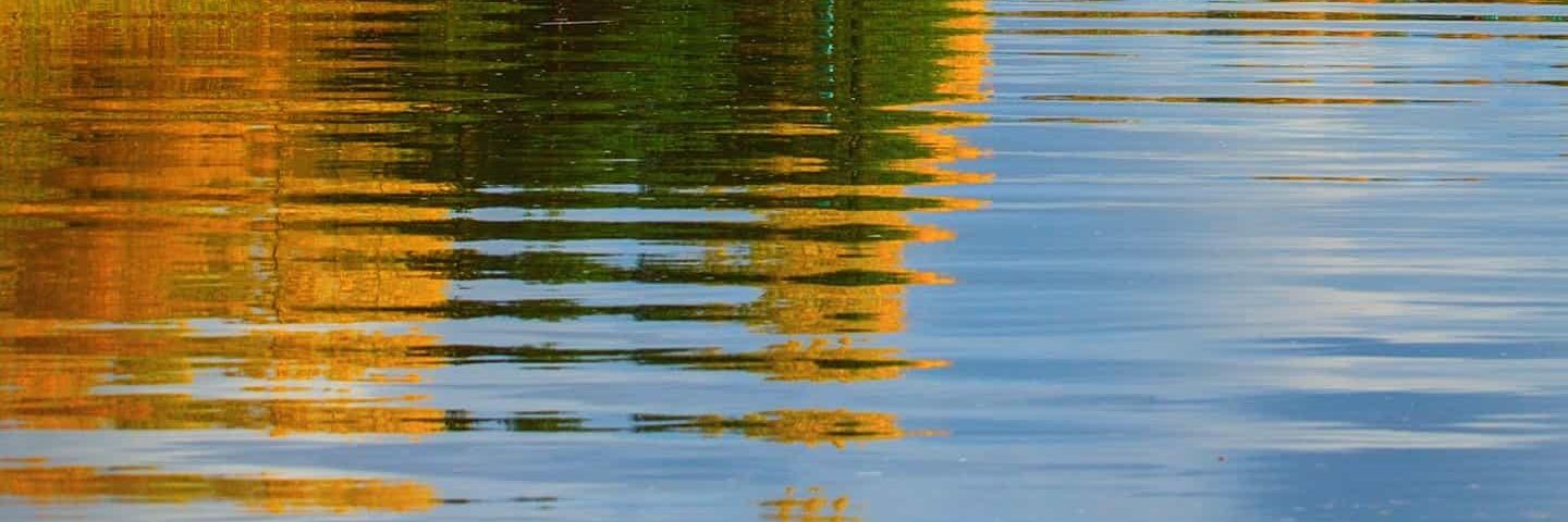 sandu787's profile banner image