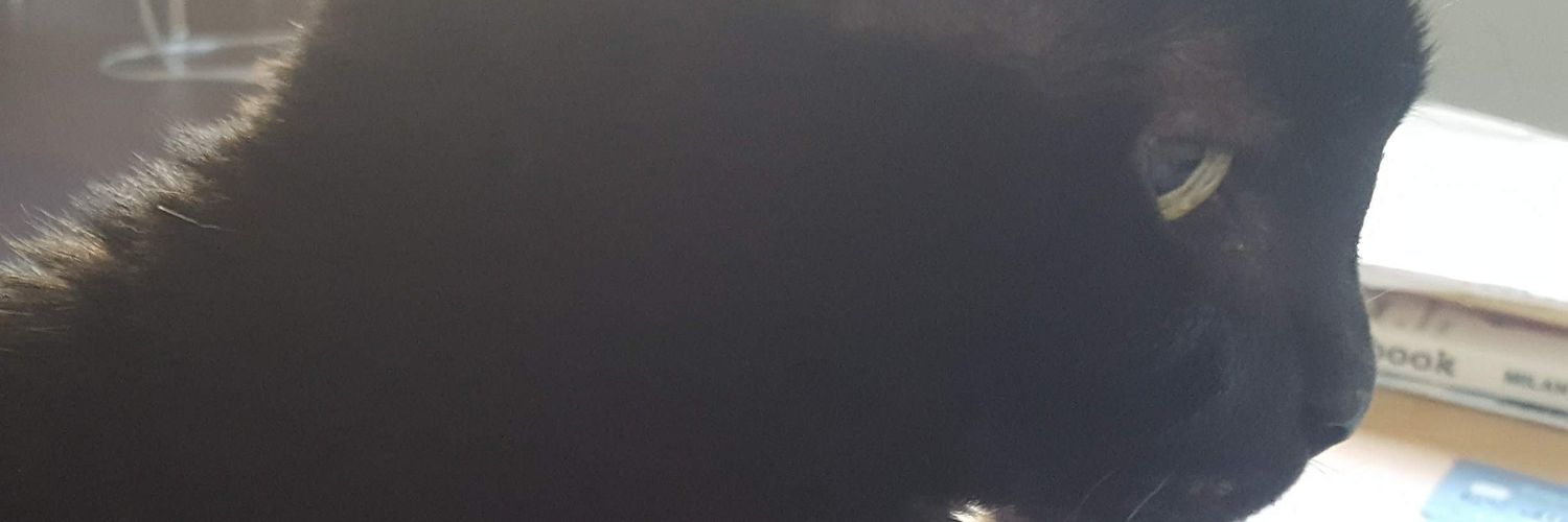 9 Lives And Counting banner