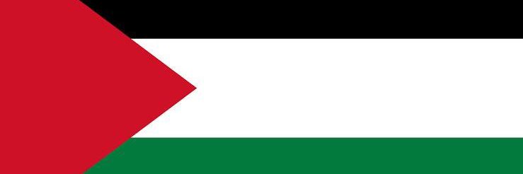 Muhammad Younus banner