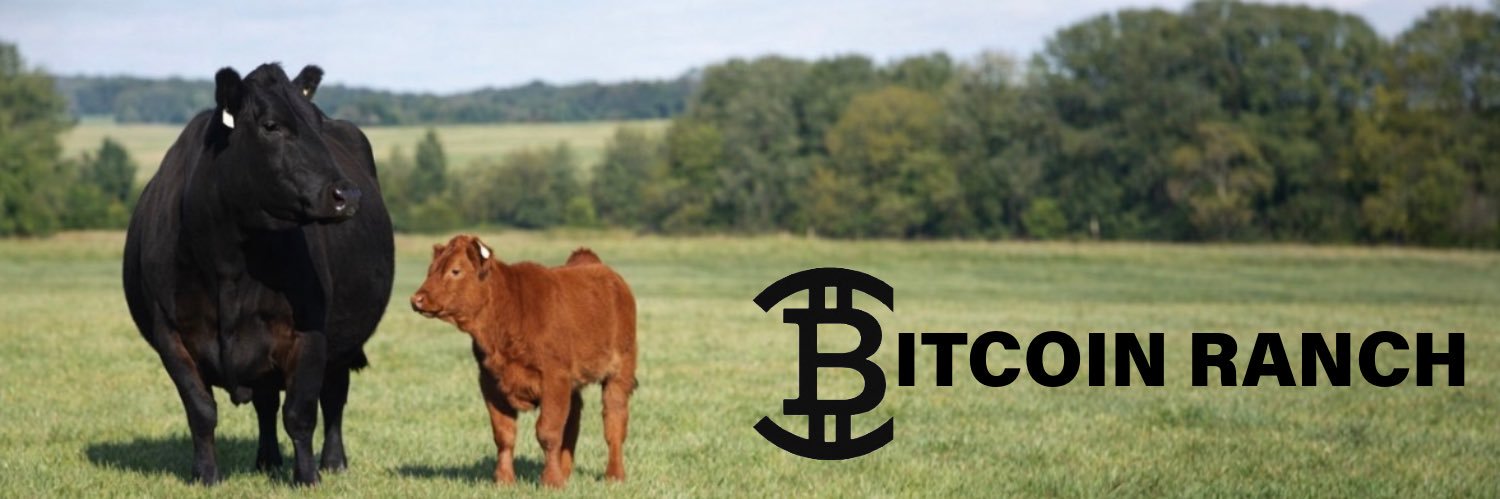 Bitcoin Ranch banner