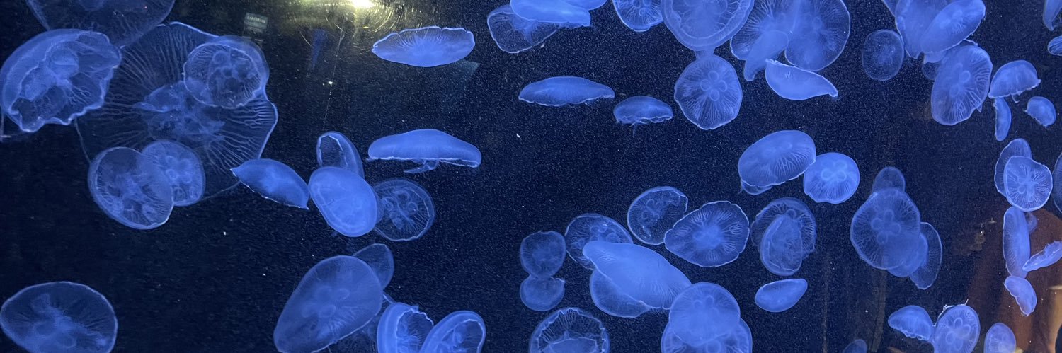 梓。@通知不調 banner