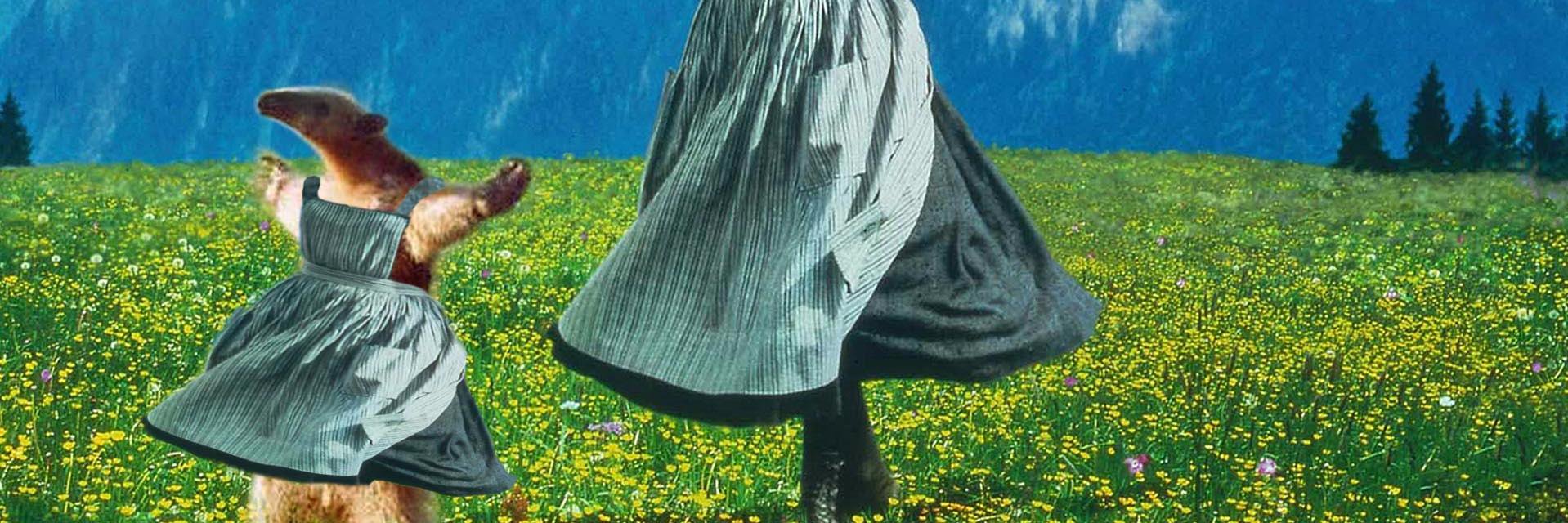 perduto dalla salsa banner