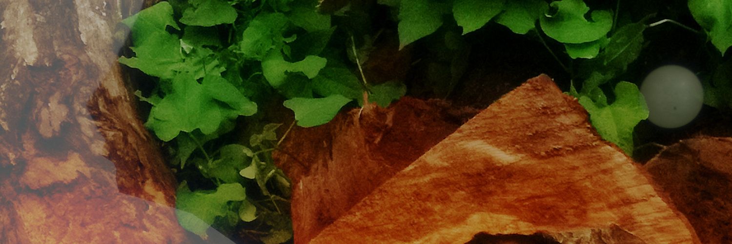 Esnathan6's profile banner image