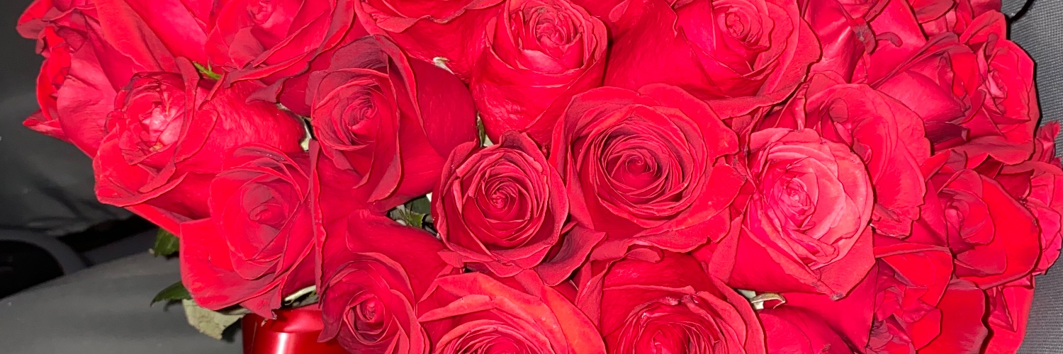 Mariangelbra's profile banner image
