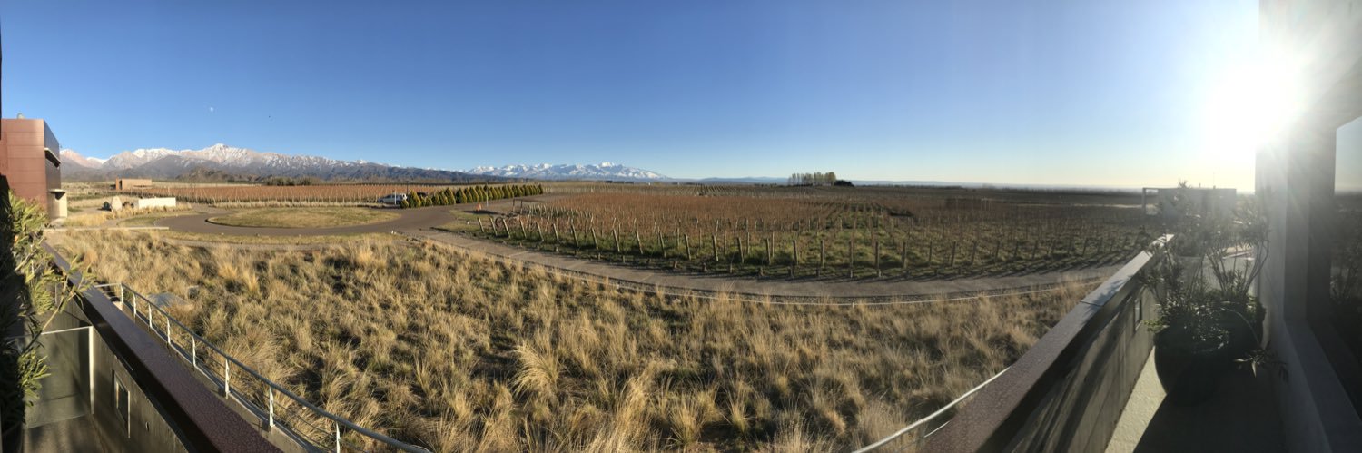 Daniel Fernandes, MD, Msc, PhD banner