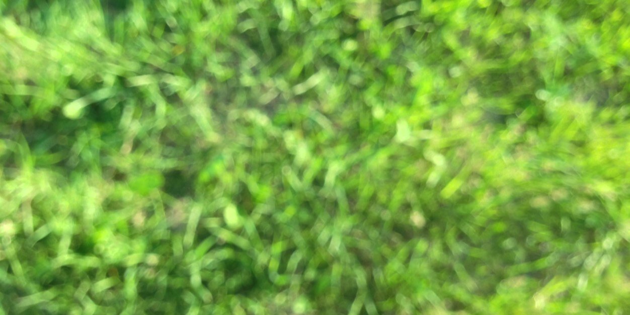 Lamak's profile banner image