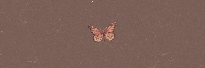 eunoia_philomath🦋🌼 banner