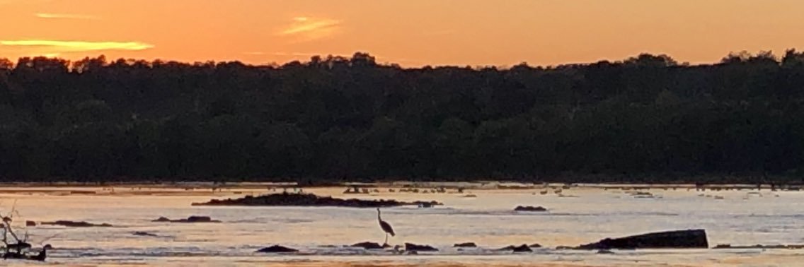 Perrycodad's profile banner image