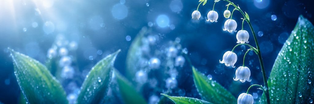 sspacejen's profile banner image