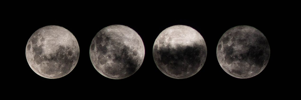 paulapuga_'s profile banner image