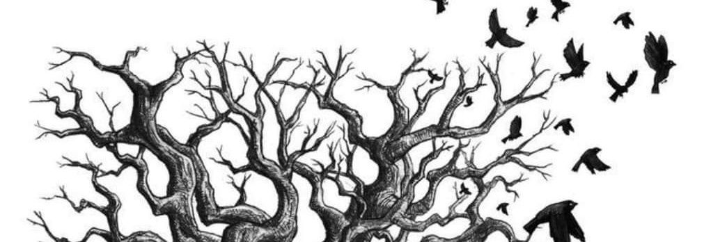 javi__apa's profile banner image