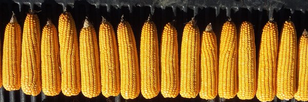 AgSpectrumCo Profile Banner