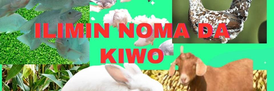 BashirBulangu's profile banner image