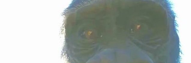 e_gxp88's profile banner image