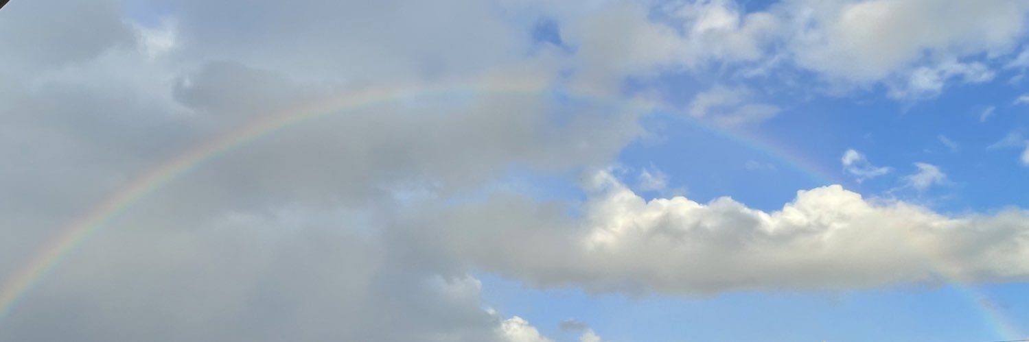 arch_wiz's profile banner image