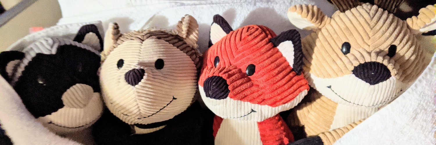 FOUR Corduroy Kids banner