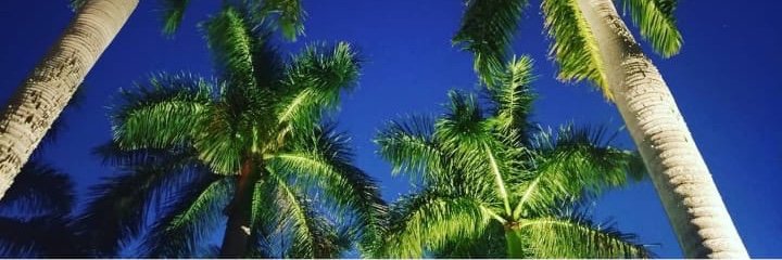 WIOS 👃👅👄 banner