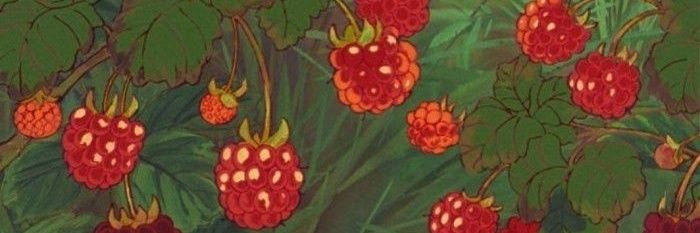 Scheymanur_'s profile banner image