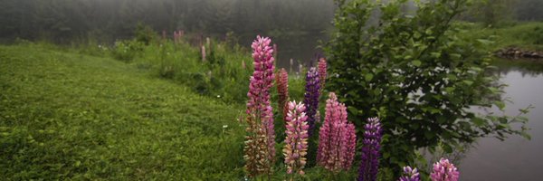 rdscanada Profile Banner