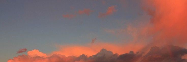 Claire Molan ☀️ banner