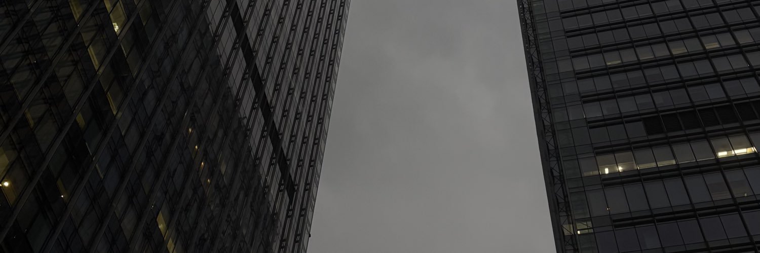 lanataan's profile banner image