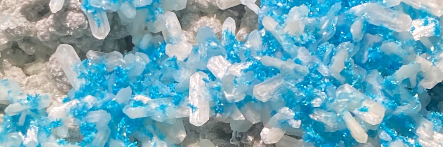 Catherine M, M.Ed. banner