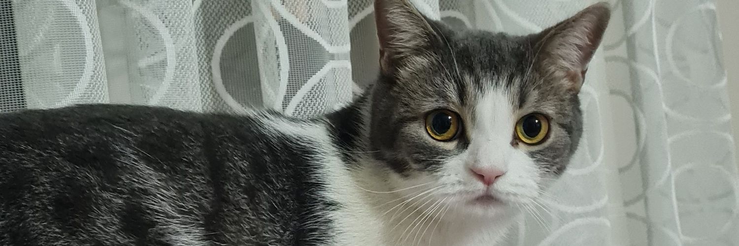 birolperisan's profile banner image
