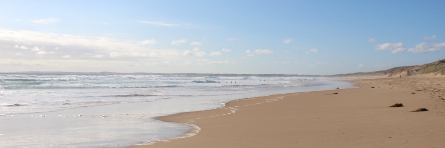 fanfanfun's profile banner image