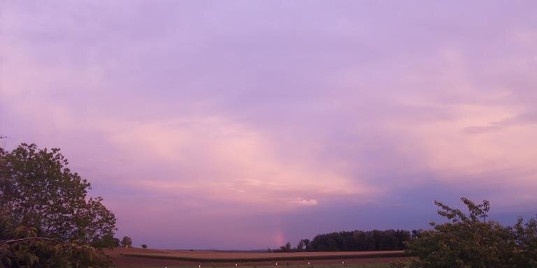 Patixandra's profile banner image