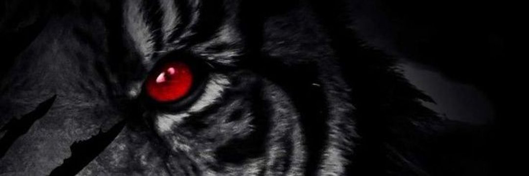 chiefsab08's profile banner image