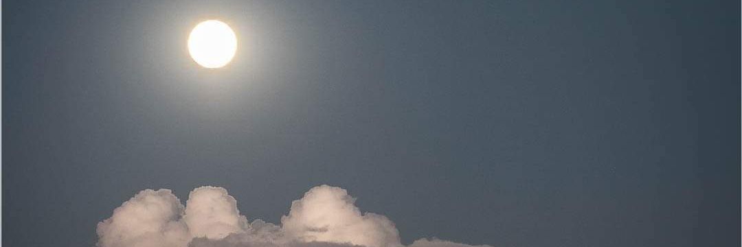maulogi85's profile banner image