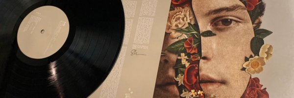 totimendes Profile Banner