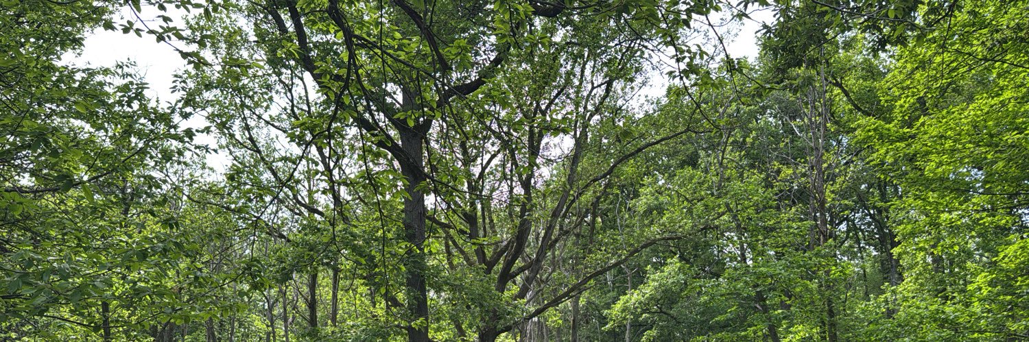 Twitter banner for @Irani