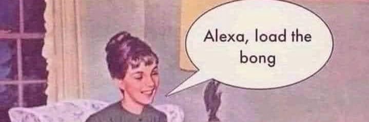 happy lil terf ❤️ banner