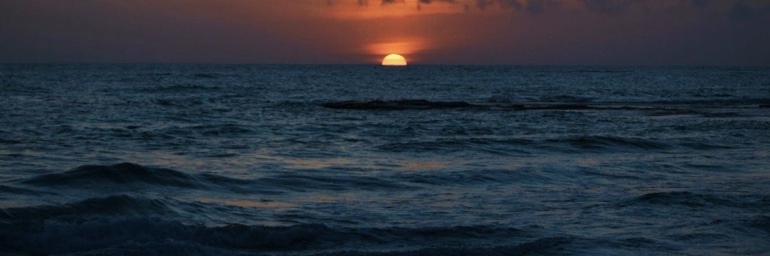 giuu_amato's profile banner image