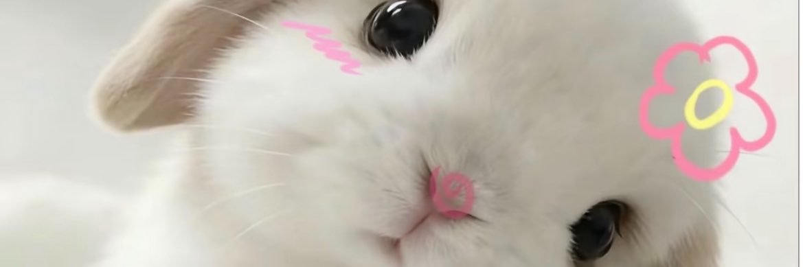 heheamk1's profile banner image